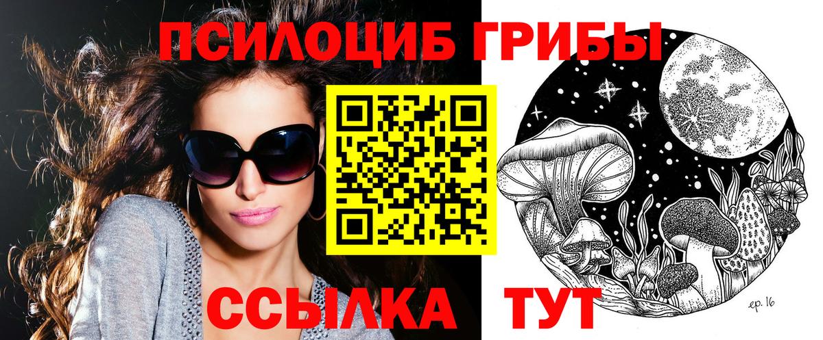 Псилоцибиновые грибы Cubensis Ульяновск
