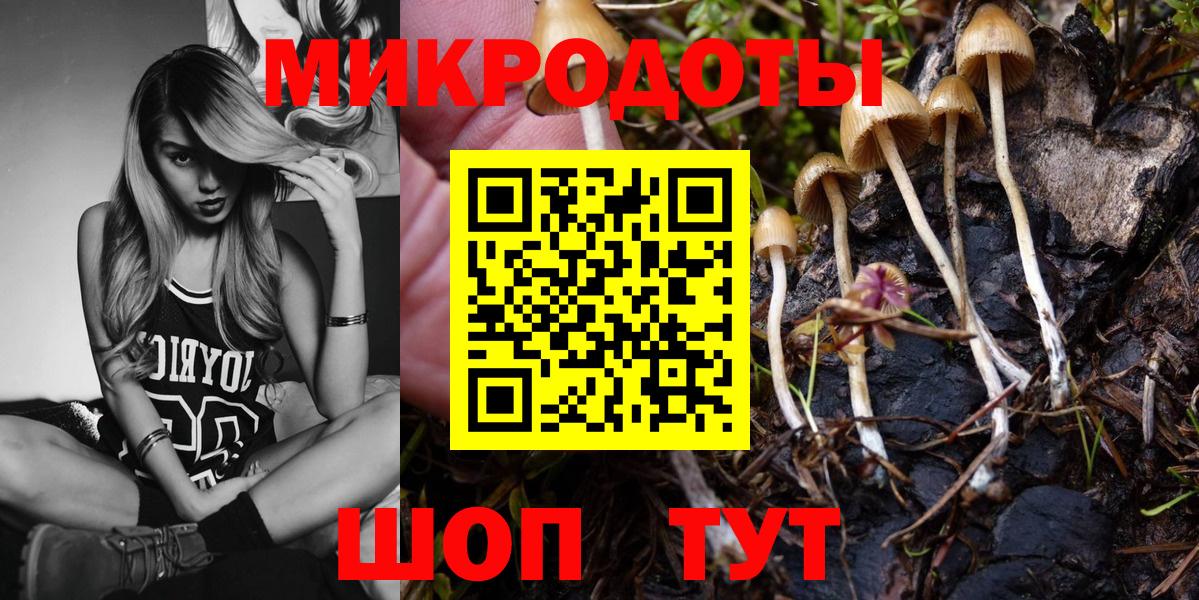 Ульяновск  Галлюциногенные грибы прущие грибы  Галлюциногенные грибы мицелий  Вход с VPN 